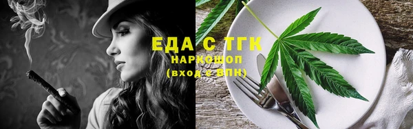 мдпв Инсар