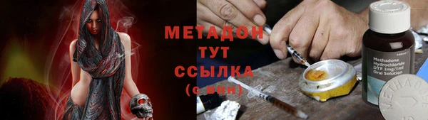 мдпв Инсар