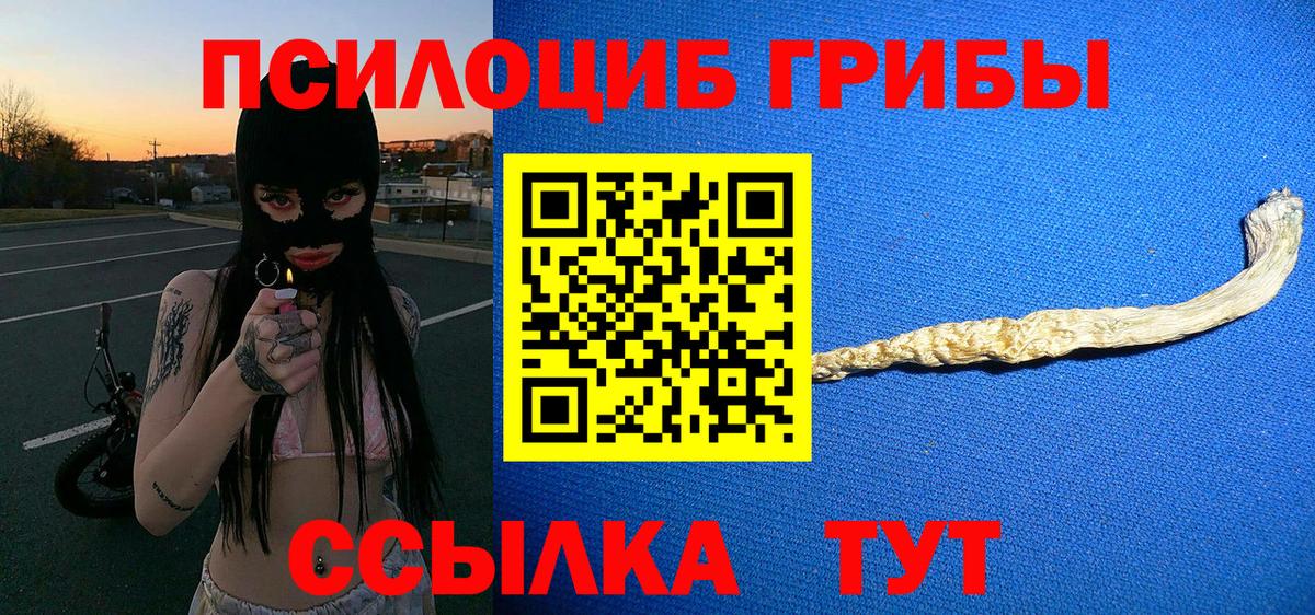 Псилоцибиновые грибы Psilocybe Грозный