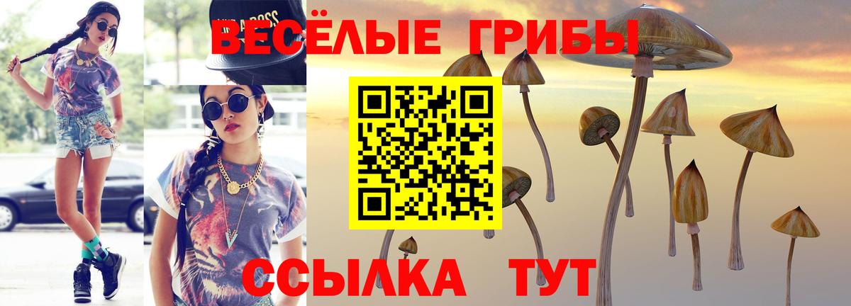 Псилоцибиновые грибы Psilocybe  Галлюциногенные грибы Magic Shrooms  Грозный 