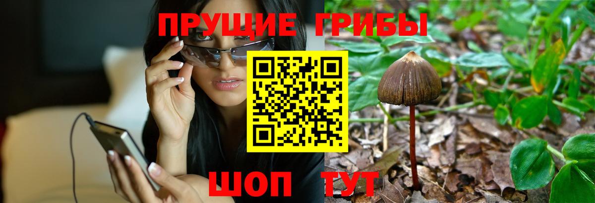 Галлюциногенные грибы мухоморы  Вход с VPN  Грозный 