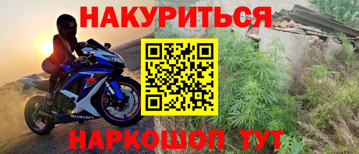 Конопля SATIVA & INDICA Грозный