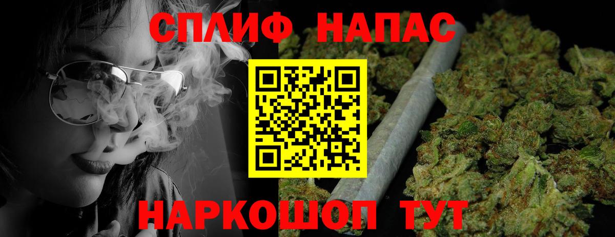 Канабис семена  Бошки Шишки MAZAR  Бошки марихуана сатива  Марихуана White Widow  Грозный 